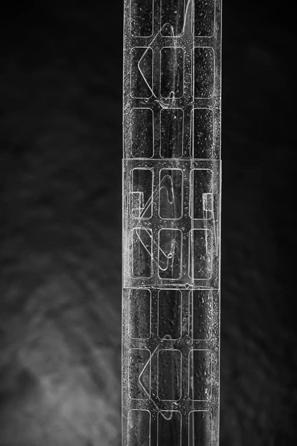 V2 Small GrowPole - Stackable Plastic Moss Poles for Climbing Plants, Monstera Plant Support-Plant Climbing Pole, DIY Plant Stick Support, Works for Philodendron and Anthuriums - 10 Pcs