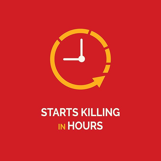 Hot Shot MaxAttrax Ant Bait, 0.07 oz Bait Stations, 4 Count, 12 Pack