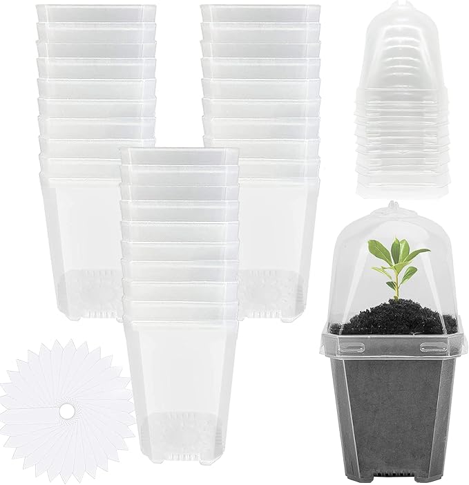 EBaokuup 30PCS Clear Plant Nursery Pots with Humidity Dome - 3" Durable Plastic Gardening Pot with Labels, Small Plant Container for Seedlings/Vegetables/Succulents/Cuttings