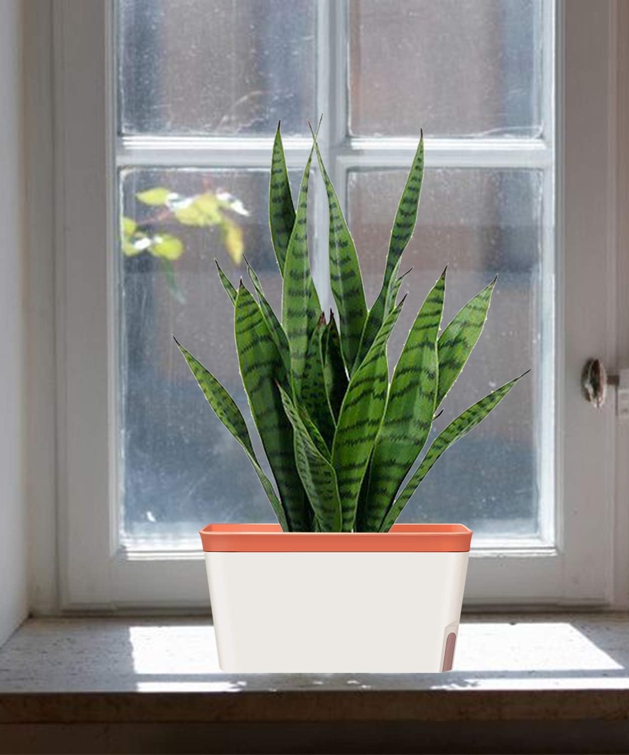 GardenBasix Self Watering Planter Pots Window Box for Indoor Plants Home Garden Modern Decorative Flower Pot for All House Herbs Succulents Set of 6 (6, Clay(Rectangle))