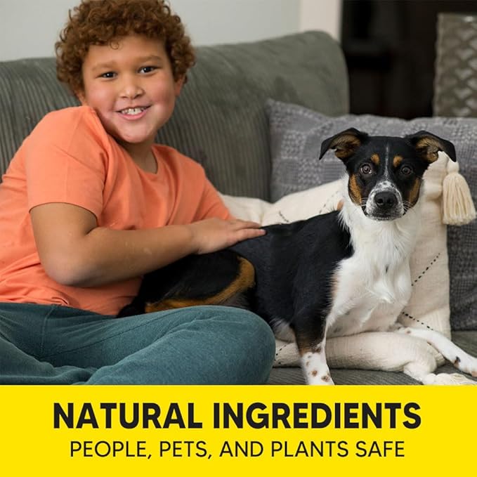 Rodent Repellent Pouches, Mice Repellent Indoor and Outdoor, Rat Repellent for House, Mouse Repellent, Outdoor Rat Deterrent, Extra-Strength 3 Months Protection, Naturally and Safely-12P