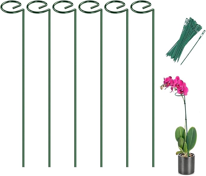 Joyhalo 6 Pack Plant Stakes and Supports, 16 Inch Flower Stakes and Support for Garden Outdoor Plant, Phalaenopsis, Paperwhites, Oriental Lilies, Zinnias, Orchids, Delilah, Lily, Rose, Bean Plants.