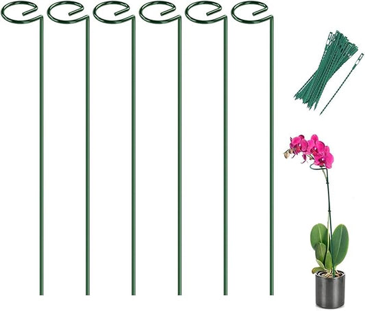 Joyhalo 6 Pack Plant Stakes and Supports, 16 Inch Flower Stakes and Support for Garden Outdoor Plant, Phalaenopsis, Paperwhites, Oriental Lilies, Zinnias, Orchids, Delilah, Lily, Rose, Bean Plants.