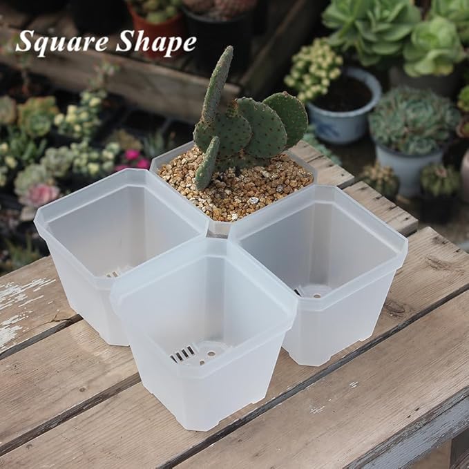BangQiao 30 Pack Small 3.90 Inch Plastic Square Nursery Pot, Plant Starting and Transplant Planter Container with Drainage Hole for Seed Germination, Clear