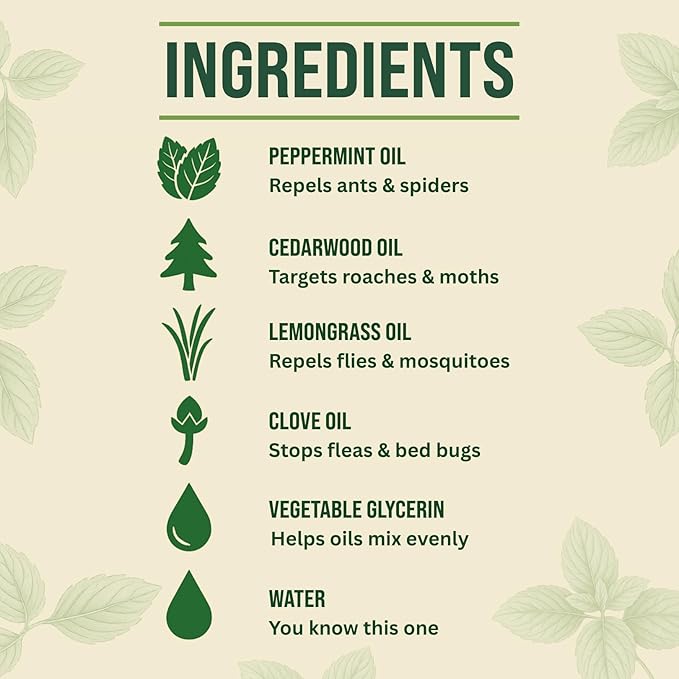 Peppermint Oil Spray for Bugs | Insect Repellent for Indoor & Outdoor Pest Control | Bug, Spider, Rodent, Ant Killer | Natural Plant-Based Pet Friendly Bug Repellent | Lilly's Naturals, 16 oz
