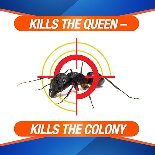 Homeplus™ Ant Killer AB, Metal Bait Station, Ants Killer for House, Ant Traps Indoor & Outdoor, 12 Pack