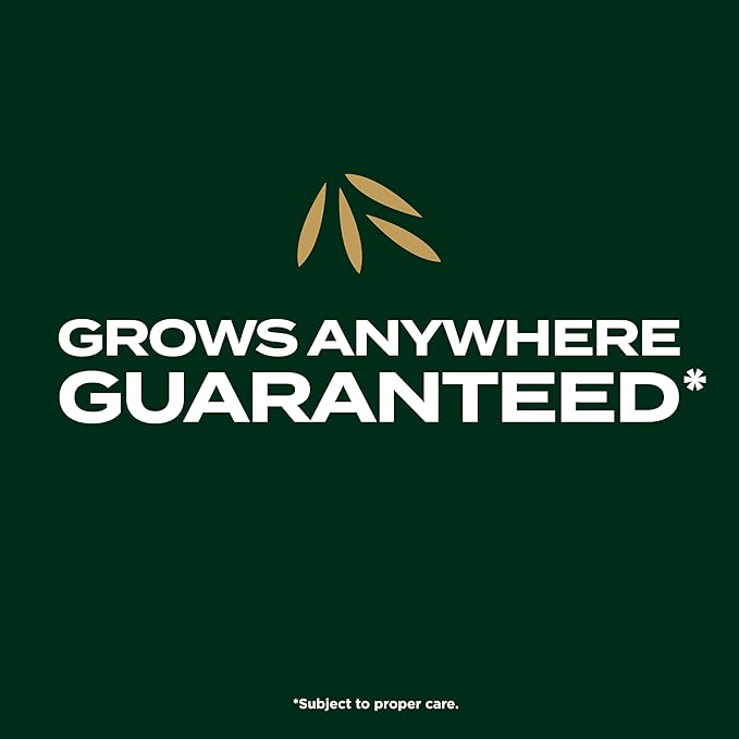 Scotts EZ Seed Patch & Repair Southern Gold Blend for Tall Fescue Lawns, Mulch, Grass Seed and Fertilizer for Bare Spots and Repair, Bred for The South, 20 lbs.