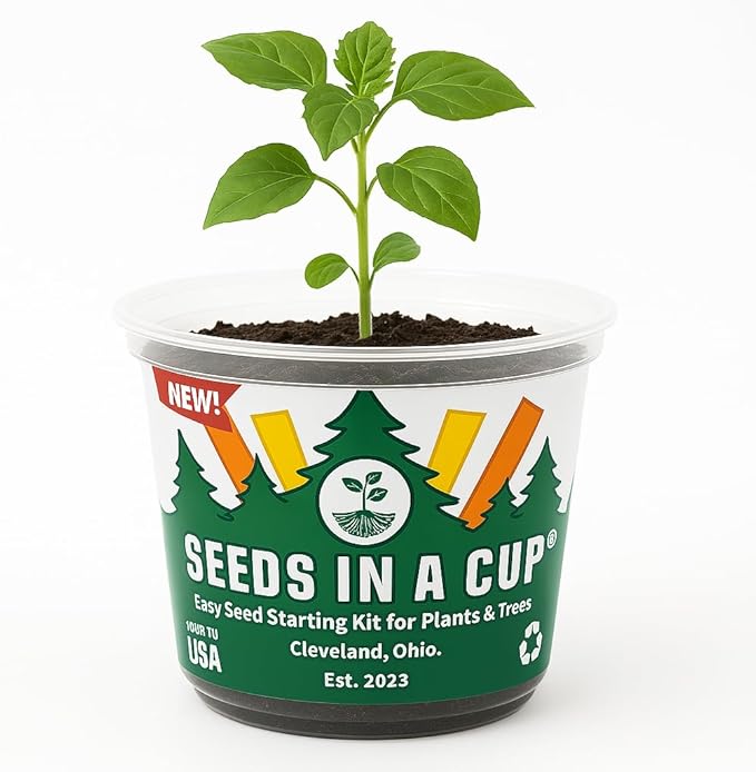 Seeds In A Cup® Sugar Maple Tree Grow Kit – Indoor/Outdoor Seed Starter, Grow Your Own Maple Tree from Seed, Educational Gift for Kids & Adults, Easy Planting Kit