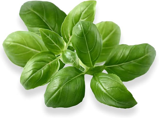 Genovese Basil - Complete Seed Pod Plugs with Plant Food - 10 Pods for Hyrdoponic Gardens, Click and Grow, Lettuce Grow and Outdoor Gardens