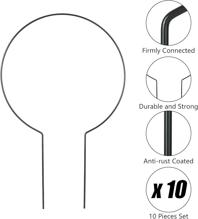 Acrux7 10 Pcs Circle Trellis for Climbing Plants Indoor Small Trellis for Potted Plants Plant Trellis for Hoya Vines Topiary Frames