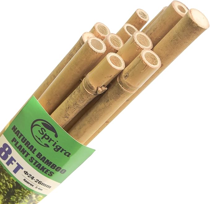Bamboo Stakes 8 Feet, 96 inch Garden Stakes Multi-Purpose, Bamboo Plant Support Stakes for Tomatos, Beans, Cucumbers, Peppers, Potted Trees, Maintain The Plant Posture, Strengthen and Stem