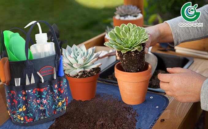 13 Pieces Succulent Tools Kit with Organizer Bag,Gardening Tool Set with Tote,Mini Succulent Garden Tool Kit Succulent Bonsai Planter Set Indoor Gardening,Miniature Indoor Fairy Planting Care