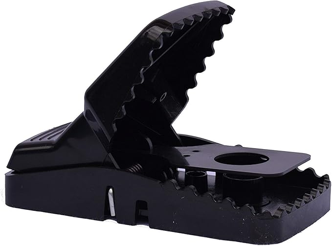 Rat Snap Traps by Eco Pro Pest Control | 6-Pack Snapping Rat Traps with Teeth | Reusable Rodent Trap for Indoor & Outdoor Use | Easy Set Up, Quick, & Powerful Rat Trap with a No-Escape Rat Trap Snap