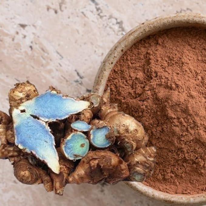 Premium Live Black Turmeric (Curcuma caesia) Plants - Rare Herbal Medicinal Plant, Perfect for Home Gardens (4 Black Turmeric Cups)