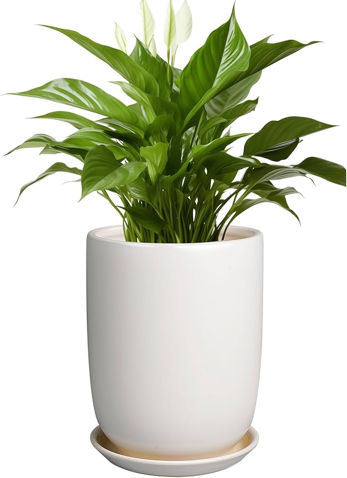 Plant Pot 8 Inch - Ceramic Planter for Indoor Plants Outdoor, Large Plant Pot with Drainage Hole and Saucer, Modern Flower Pot, White