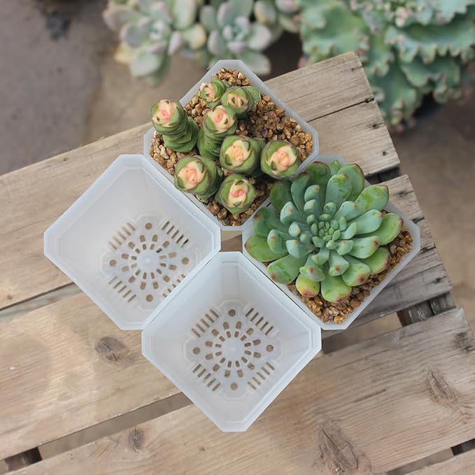 BangQiao 60 Pack Small 2.70 Inch Plastic Square Nursery Pot, Plant Starting and Transplant Planter Container with Drainage Hole for Seed Germination, Clear