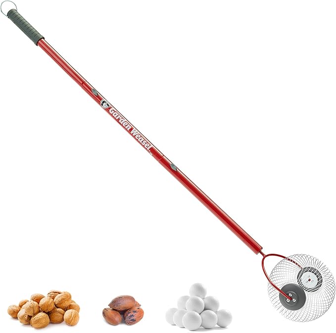 GARDEN WEASEL Medium Nut Gatherer Roller – Nut Collector Tool for Pecans, Hickory Nuts, Golf Balls and More – Yard Picker Upper with Durable Steel Cage and Ergonomic Handle - Newest Model
