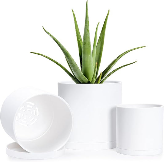 D'vine Dev 4 Inch 5 Inch 6 Inch, Set of 3 Plastic Planter Pots for Plants with Drainage Hole and Seamless Saucers, White Color, Small, 74-V-A-1
