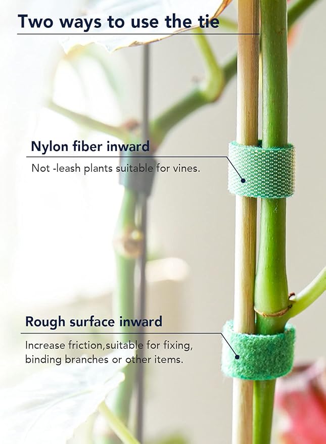 LE TAUCI Plant Ties, Garden Tape for Plant, Reusable Adjustable Thicker Support for Growing, Strong Grip, Tomato Vines Indoor Outdoor, 25 ft x 0.47 Inch, 1 roll, Green