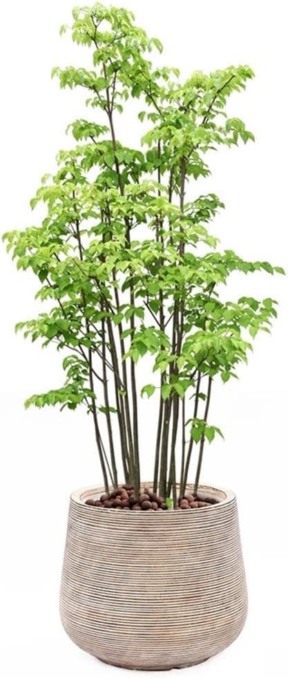 LuxenHome 17" Dia Round Planters for Indoor Plants, Large Outdoor Planters with Drainage Holes, Concrete Distressed Plant Pots Indoor & Outdoor for Home Garden Patio