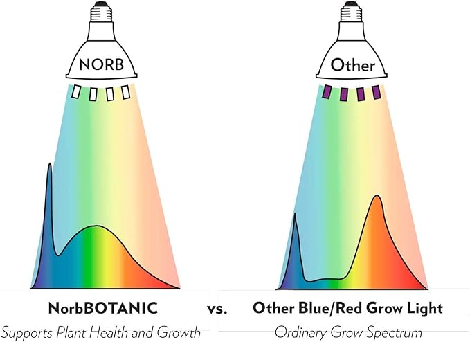 NorbBOTANIC Plant Light. Premium Indoor Grow Light with Full Spectrum Light. LED Light Bulb Mimics Sun with Powerful 1350 Lumens. “Grow Right Under White” Better than Purple Grow Lights. 16W 15 Degree