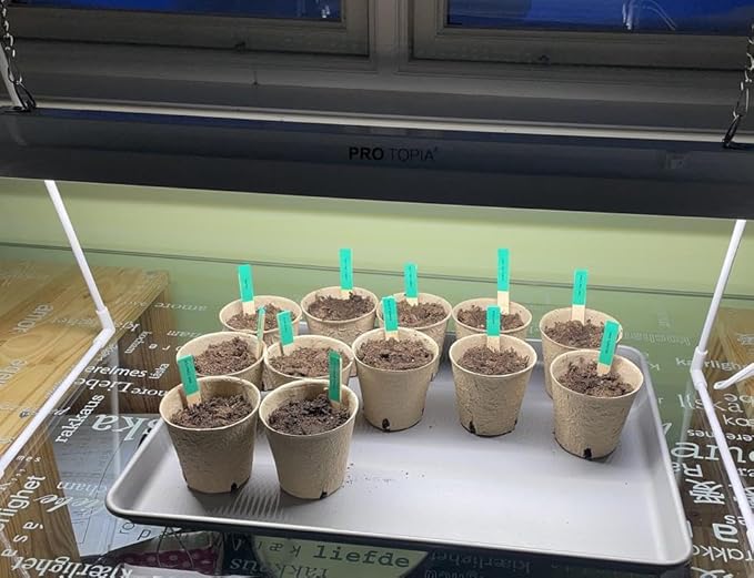 Grow Light Stand, 10W Grow Light kit for Indoor Plants, 2ft Plant Grow Rack, Full Spectrum, Enhanced red Light Good for Flowering, Height Adjustable, Iron Bracket, on and Off Switch