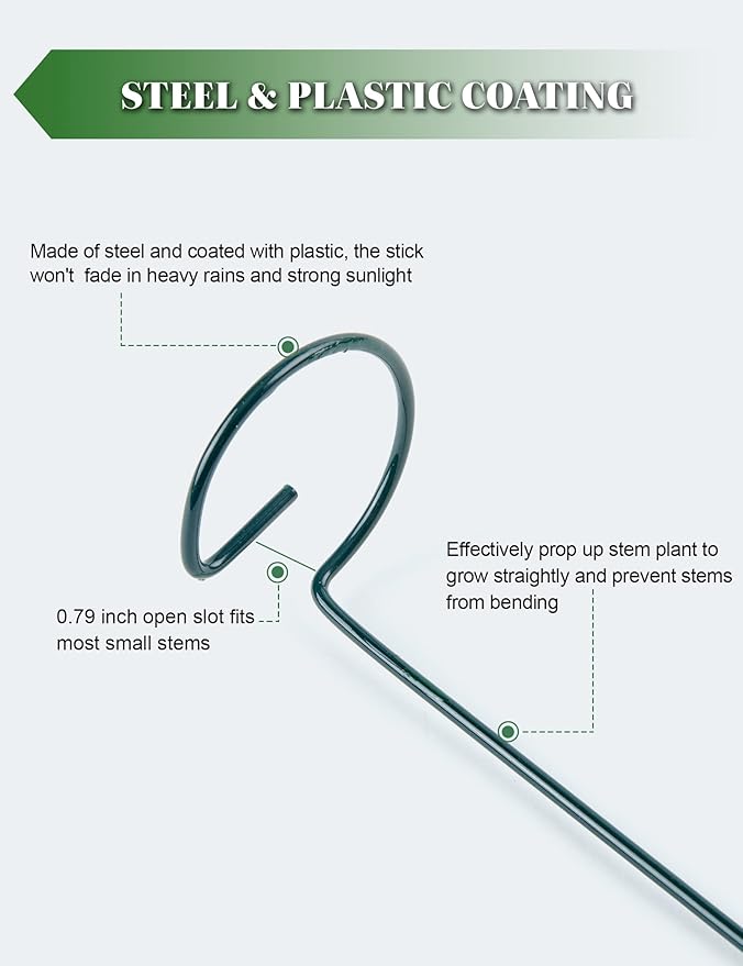 Joyhalo 6 Pack Plant Stakes and Supports, 16 Inch Flower Stakes and Support for Garden Outdoor Plant, Phalaenopsis, Paperwhites, Oriental Lilies, Zinnias, Orchids, Delilah, Lily, Rose, Bean Plants.