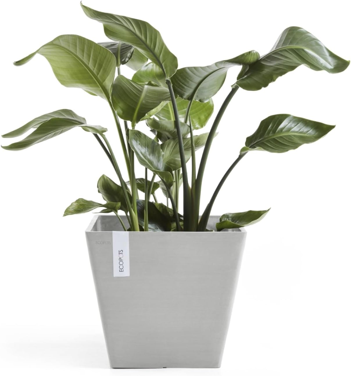 Ecopots Rotterdam Durable Modern Square Indoor/Outdoor Recycled-Based Composite Flower Planter, White Grey, 12"