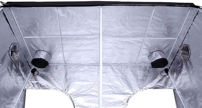 Plant Grow Tent, Black, 240x120x200cm, Indoor Growing, Enclosure with Observation Window and Floor Tray