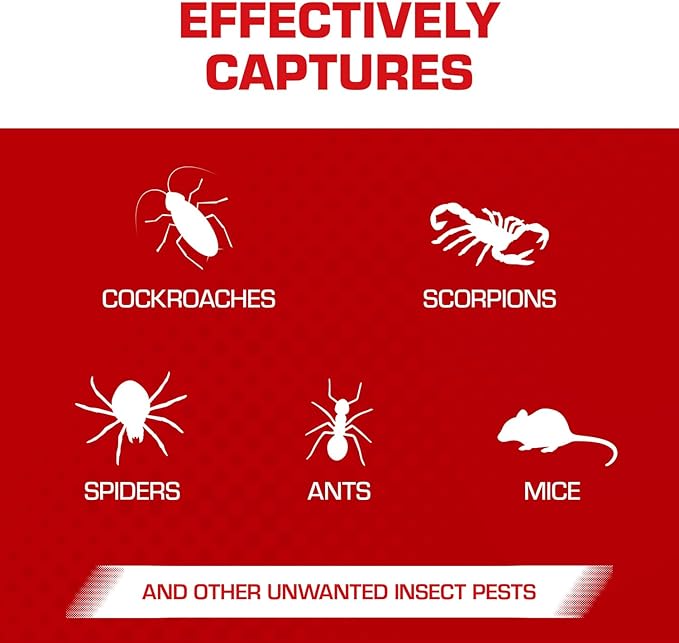 Tomcat Glue Boards with Immediate Grip Glue for Mice, Cockroaches, and Insects, Use Flat or Covered, Ready-To-Use, 4 Traps