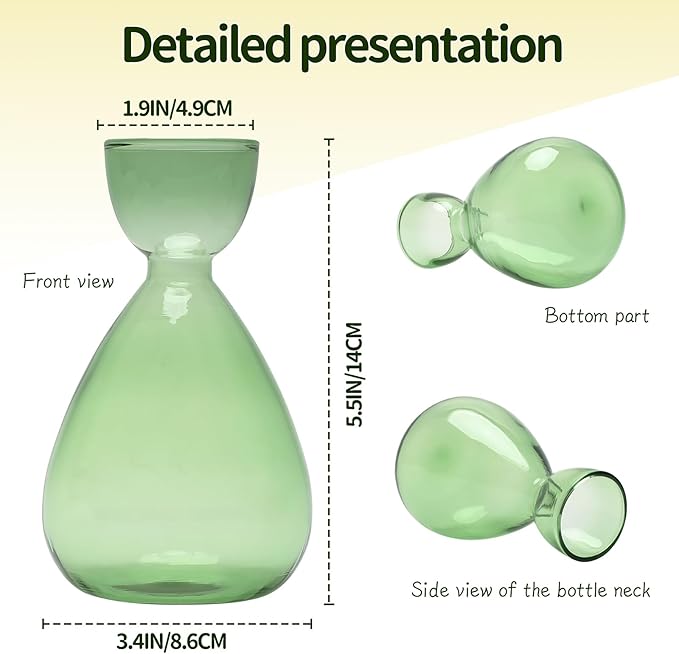 Avocado Vase Avocado Seed Starter Vases Trees Live Plants Growing kit Glass 2pc