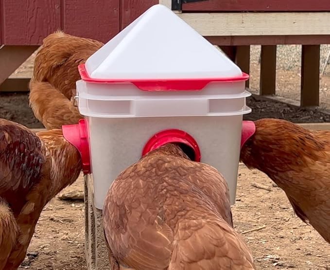 RentACoop Chick2Chicken 10lb BPA-Free 4-Port Feeder - Includes Anti-Roost Cone, Slider Port Cover, and Lid - Suitable for up to 20 Chicks & 12 Adult Chickens