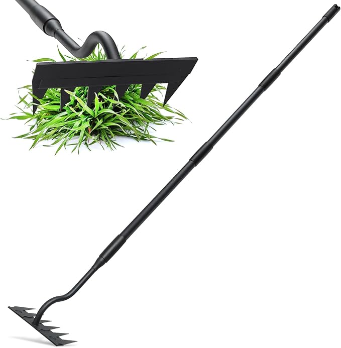 Weed Puller Tool, Garden Weeding Rake Tools with Detachable Long Handle, 56 inch Weed Remover Gardening Hand Tool for Lawn, Yard, atio and Backyard (6 Tines)