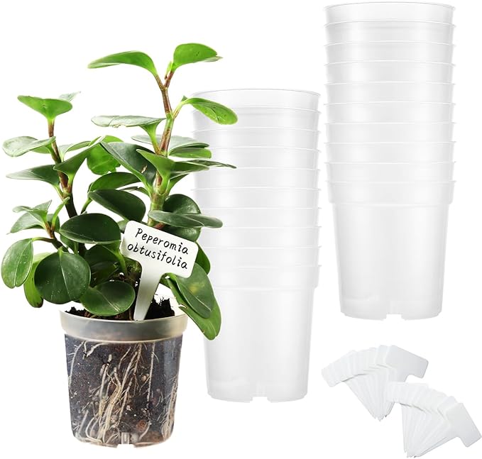 4.3 Inch Clear Nursery Pots for Plants, Transparent Plastic Plant Pots with Drain Holes, Seed Starter Pots with 20 Plant Labels for Flowers Vegetable Seedlings 20 Packs