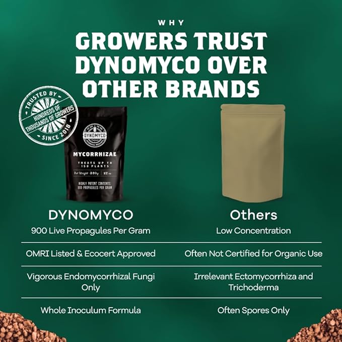 DYNOMYCO Granular Mycorrhizal Fungi Inoculant, 340g / 12oz – Boosts Root Growth, Yields & Nutrient Uptake – 900 Propagules/g, Concentrated Granules, & OMRI Listed – Biofertilizer for Plant Growth