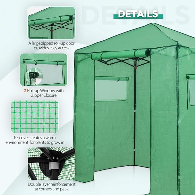 EAGLE PEAK Instant Pop-up Greenhouse, Indoor Outdoor Plant Gardening Green House, Roll-Up Zipper Doors and Side Windows, Walk in 6x4 ft, PE Cover, Green/Clear