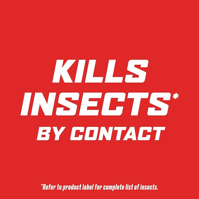 Ortho Outdoor Insect Killer Concentrate Kills Listed Ants, Spiders, Fleas & Ticks, 32 fl. oz.