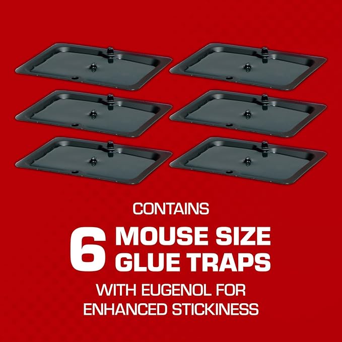 Tomcat Glue Traps Mouse Size with Eugenol for Enhanced Stickiness for Mice, Cockroaches, and Spiders, 6 Traps