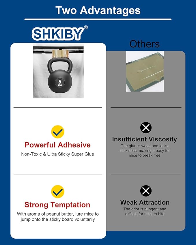 Rat & Mouse Glue-Traps 2 Pack, Large Bulk Traps, Indoor for Home, Pre-Scented Adhesive Plastic Tray Inside House, Snake, Mice, Spider Pet Safe