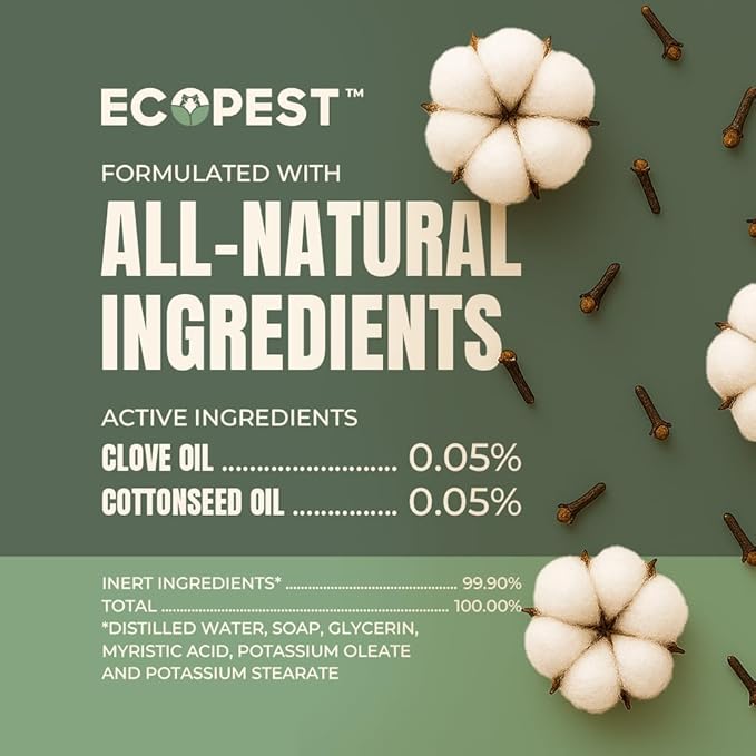 Bed Bug Spray – Natural, Plant-Based Killer for Bed Bugs, Eggs & Nymphs | Fabric & Mattress-Safe Home Treatment for Indoor Use | Child & Pet Safe, Low Odor, Eco-Friendly (22 oz)