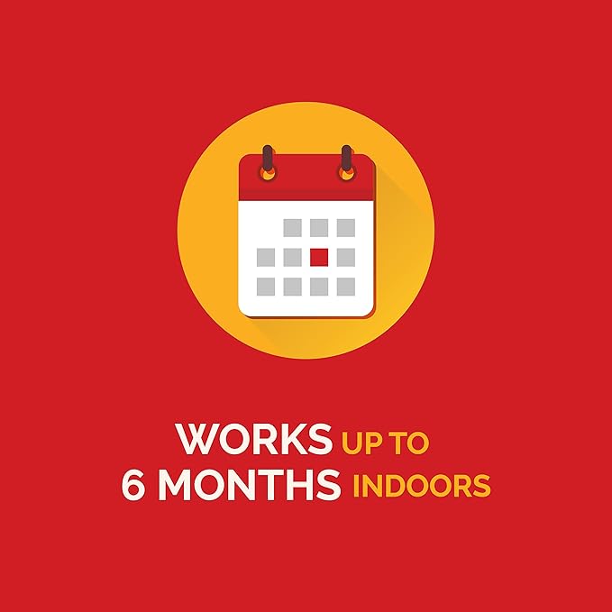 Hot Shot MaxAttrax Ant Bait 8 Count, Child-Resistant Bait Stations, 6 Pack