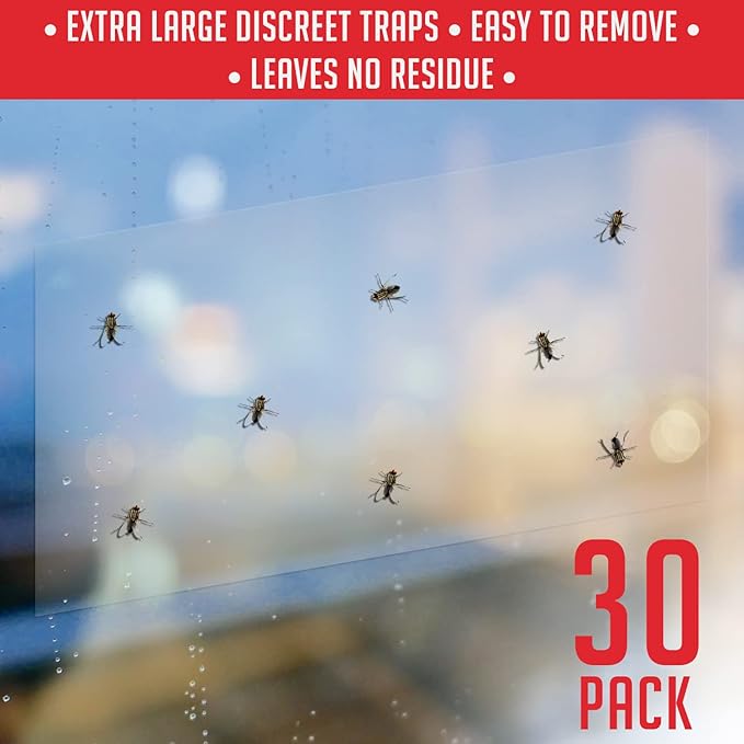 Window Fly Traps Indoor Clear (30 Pack) - Fly Window Traps for Indoors Sticky, Indoor Fly Trap Non-Toxic Fly Strips for Windows - Fly Sticky Traps Indoor Fly Paper Indoor Bug Sticky Traps (8.25" x 5")