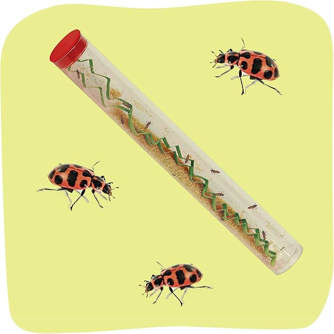 Insect Lore Live Ladybug Growing Kit - Ladybug Land Habitat with 10-15 Live Pink Spotted Ladybug Larvae - Raise, Observe and Release Ladybugs