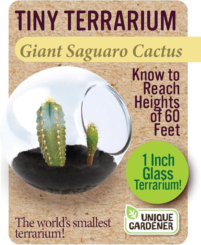 Tiny Terrarium Plant Seeds 6 Variety Cacti Pack, DIY Indoor Succulents and Live Plants for Home or Garden Planting, Assorted Cacti Pack