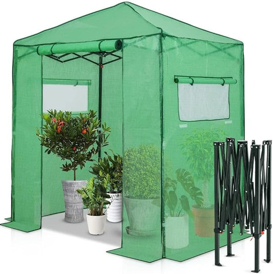 EAGLE PEAK Instant Pop-up Greenhouse, Indoor Outdoor Plant Gardening Green House, Roll-Up Zipper Doors and Side Windows, Walk in 6x4 ft, PE Cover, Green/Clear