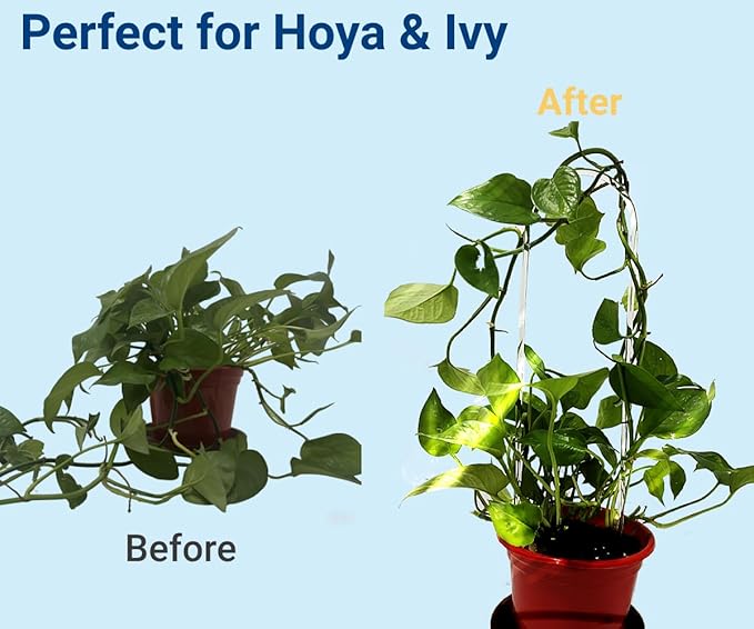 2 Pack U-Shaped Clear Acrylic Plant Supports - 14 inches Indoor/Outdoor Climbing Vine Trellis for Potted Plants, Ideal for Ivy & Tropical Houseplants,Plant Support Hoya Trellis