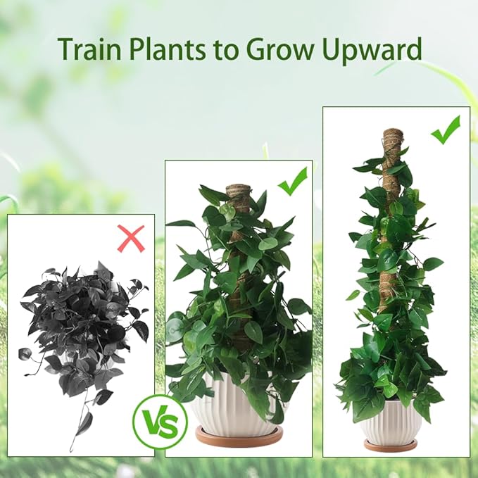 Monstera Plant Support Moss Pole: 2 Pack 16 Inch Stackable Coco Coir Moss Totem Stake Tall Stand Grow Stick Plants Rod Moss Holder for House Live Plant,Indoor Climbing Potted,Vine,Pothos,Philodendron