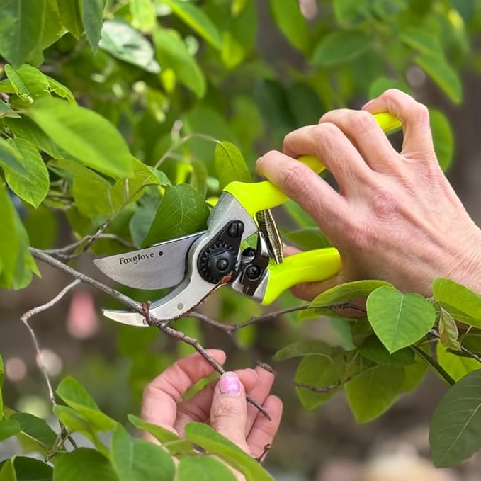 Foxglove 8.5" Garden Shears – Professional Bypass Pruners with Japanese High Carbon Steel Blades, Hand Pruners with Ergonomic Grip, Garden Clippers, Pruning Shears Heavy Duty