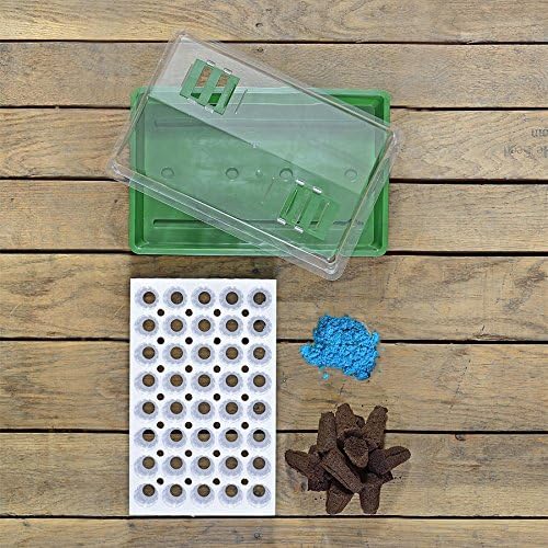 Park Seed Bio Dome Seed Starter Kit with 40 Jumbo Cell Planting Block, Base Tray, Humidity Dome & 40 Bio Sponges