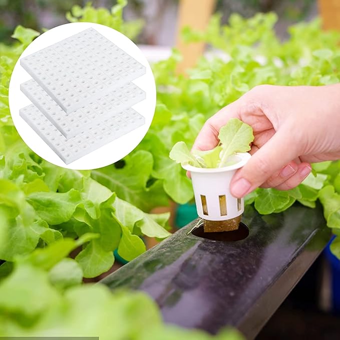 XIDAJIE 600 Pcs Hydroponic Sponges Planting Gardening Tool Soilless Cultivation Seedling Sponges Cultivation Sponge Greenhouse for Small Bud Growth & Grow Seedlings